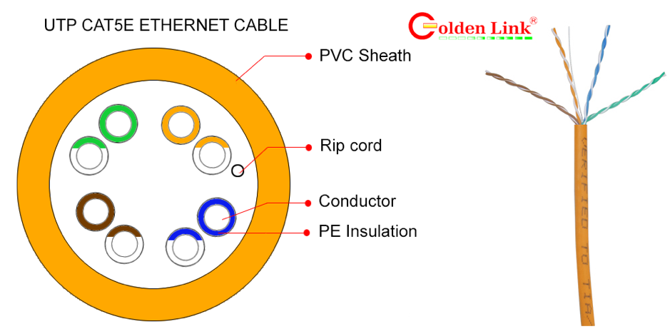 GOLDEN LINK PLATINUM UTP CAT 5E MADE IN TAIWAN MÀU CAM - 1